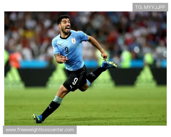 乌拉圭队未来规划聚焦新老交替与青训体系持续提升 乌拉圭队未来规划聚焦新老交替与青训体系持续提升